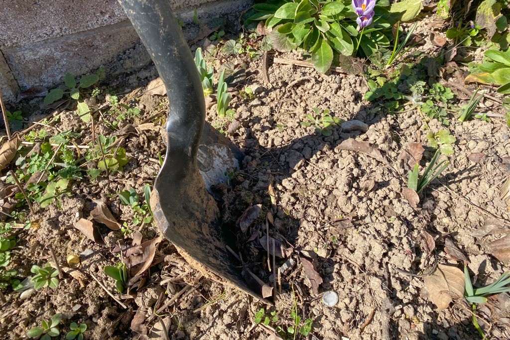 blumenbeet-anlegen-Loch-ausheben