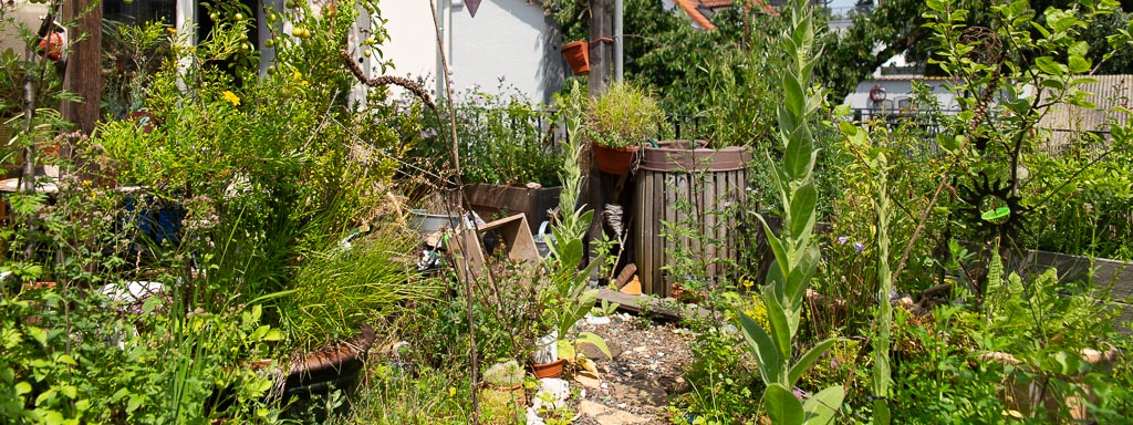 wildbienengarten positivbeispiel frankfurt