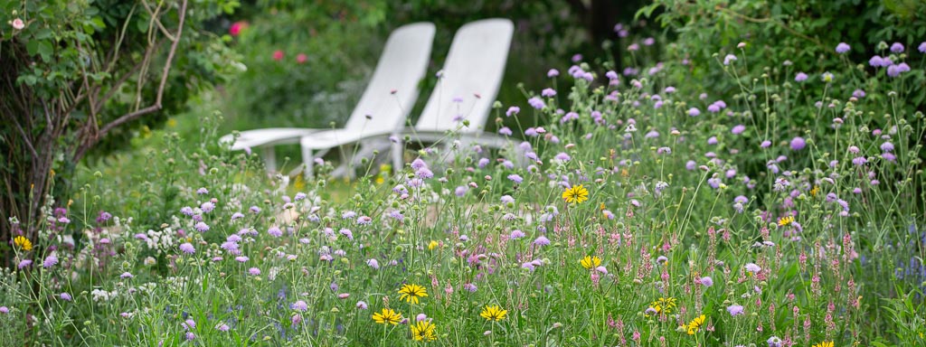 wildbienengarten positivbeispiel guntersblum
