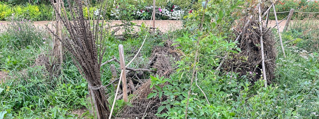 naturgarten zurückschneiden