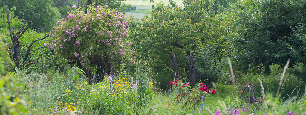 wildbienengarten positivbeispiel dolgesheim