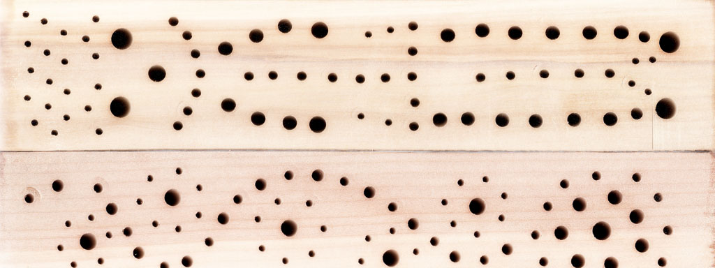 Wildbienen-nisthilfe aus hartholz diy