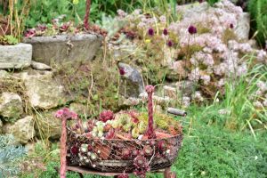 Wildbienengarten-Eine-Trockenmauer-im-Garten-traegt-zur-Biodiversitaet-bei