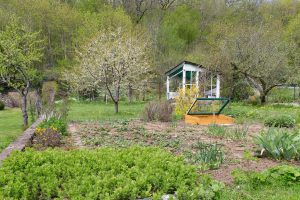 Wildbienengarten-Nix