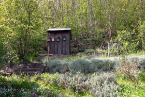 Wildbienengarten-Nix