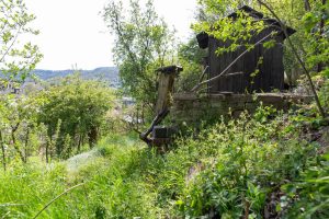 Wildbienengarten-Nix-Aussicht