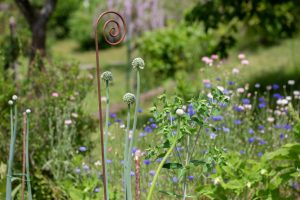 Wildbienengarten-Nix-Zwiebelbeet
