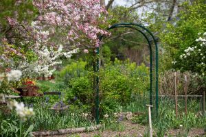 Wildbienengarten-Rahn-Gartentor